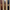 assorted leather buttfly belts on tan